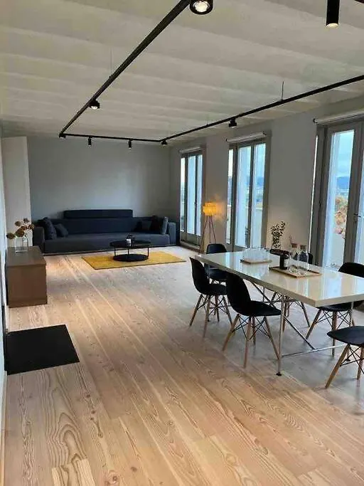 Luxury City Penthouse Apartment Vienne